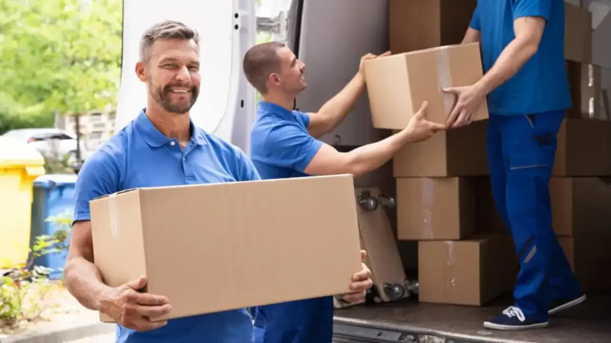 Best Oneida County Movers Near Me – Premium Transport Companies