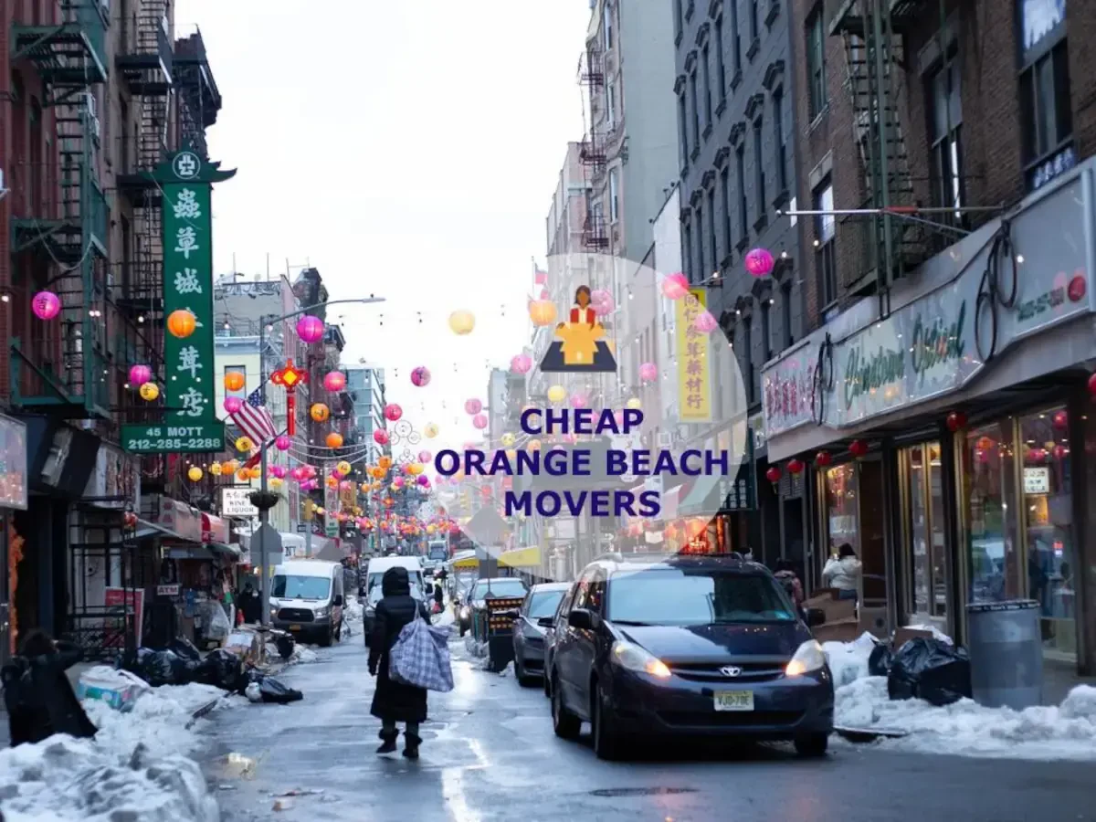 Best Orange Beach Movers Near Me – Premium Orange Beach, AL Moving Companies