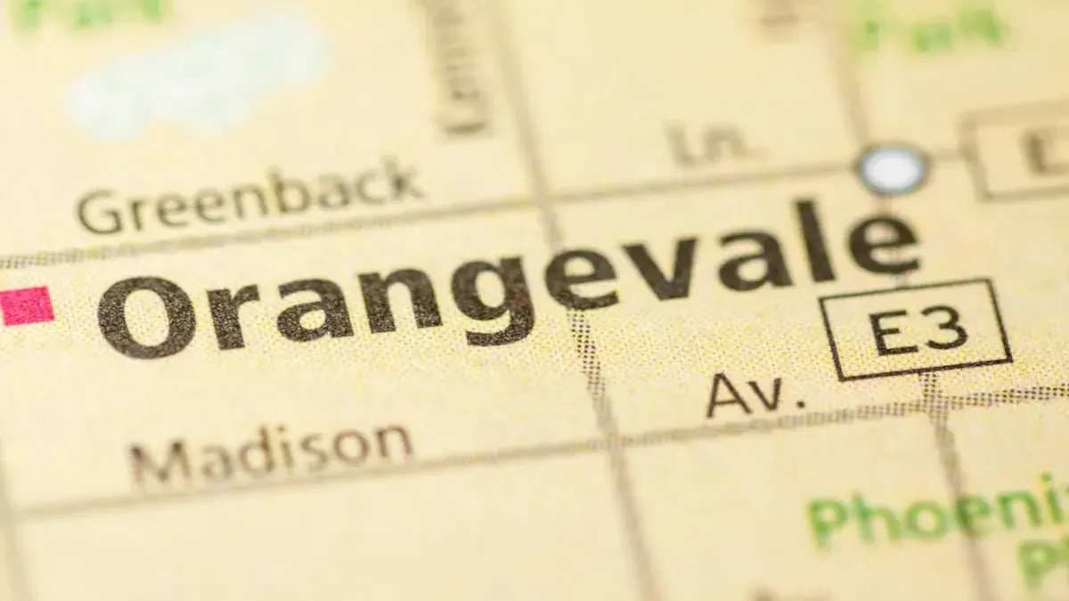 Best Orangevale Movers Near Me – Premium Orangevale, CA Moving Companies