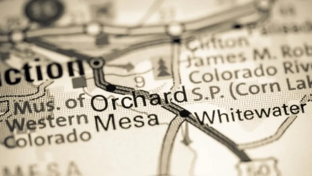 Best Orchard Mesa Movers Near Me – Premium Orchard Mesa, CO Moving Companies