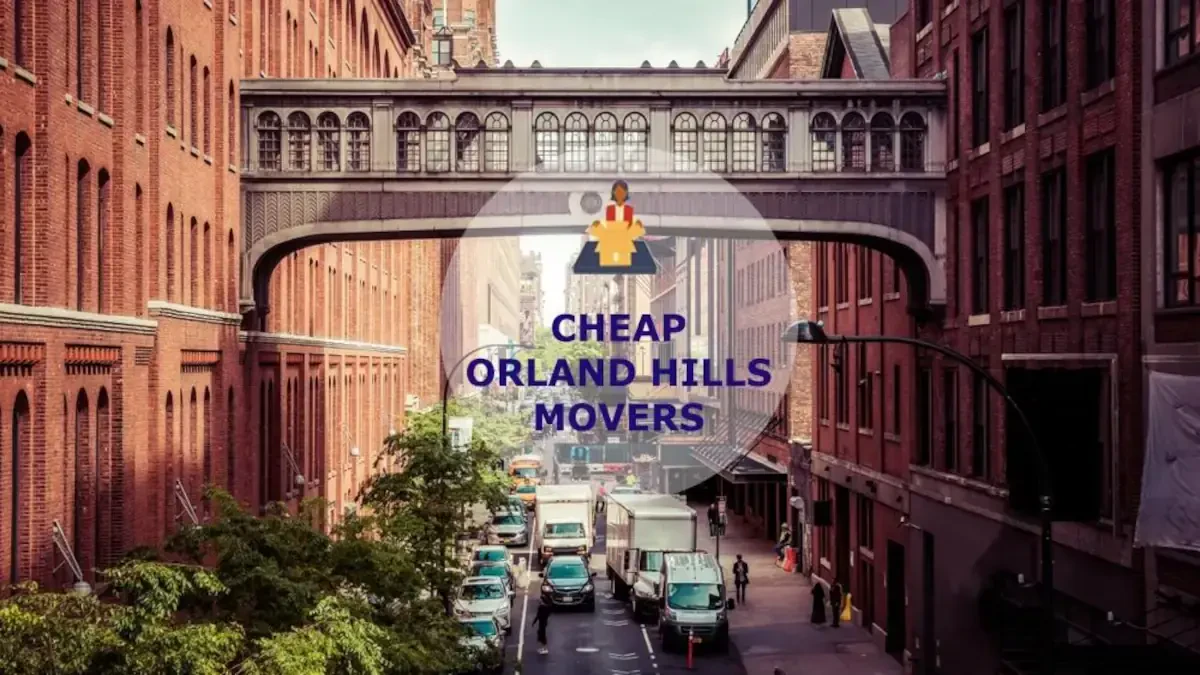 Best Orland Hills Movers Near Me – Premium Orland Hills, IL Moving Companies
