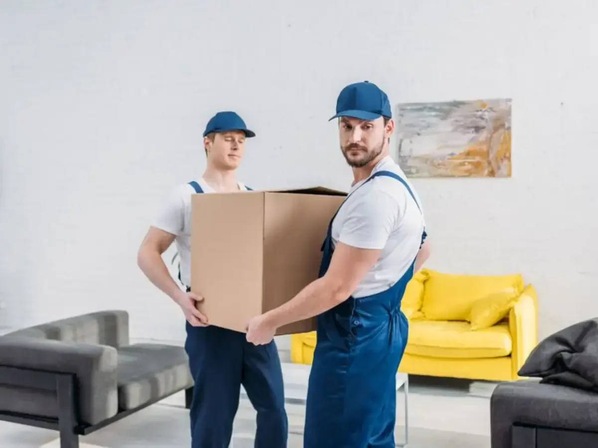 Orlando to Estero Movers Near Me Affordable Moving Companies Cost