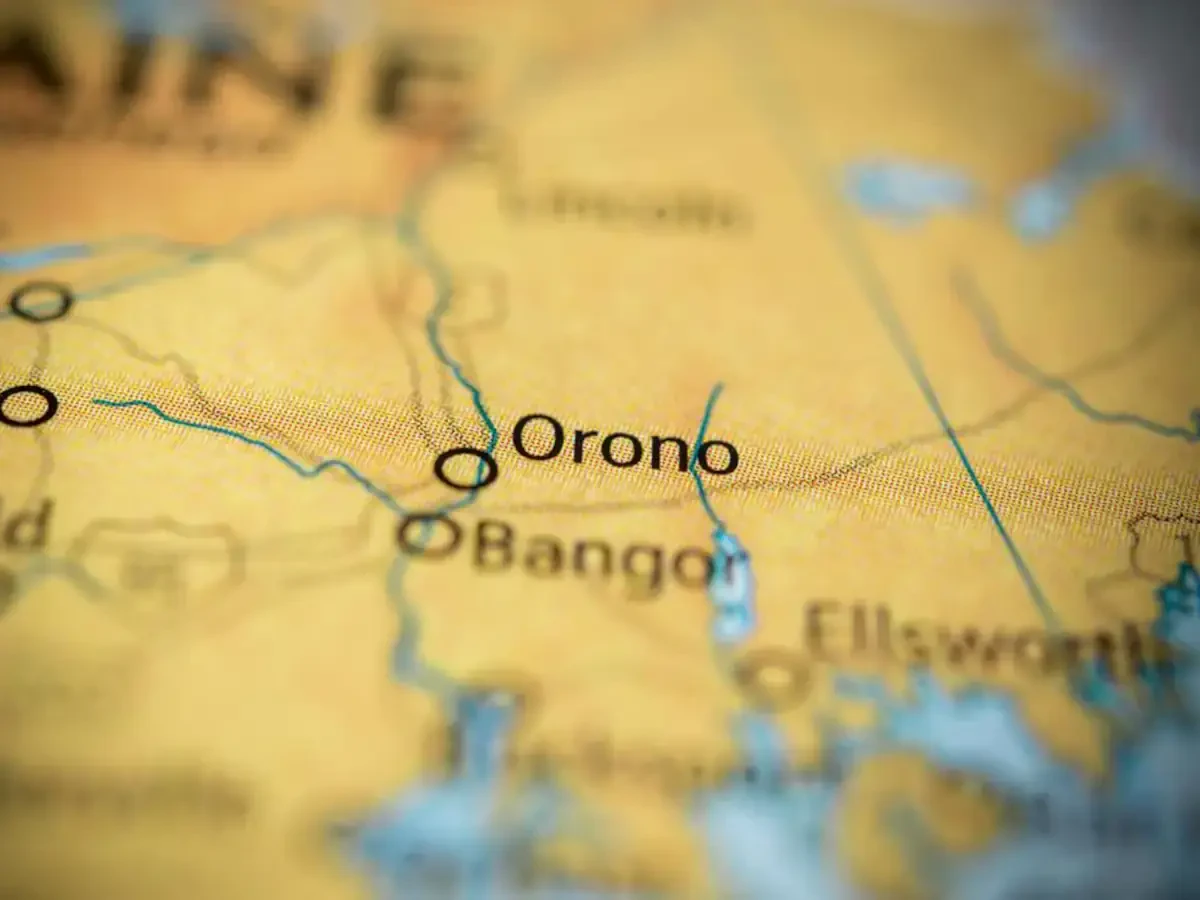 Best Orono Movers Near Me – Premium Orono, MN Moving Companies