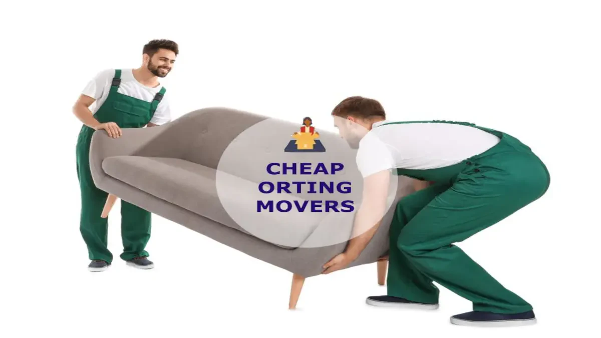 Best Orting Movers Near Me – Premium Orting, WA Moving Companies