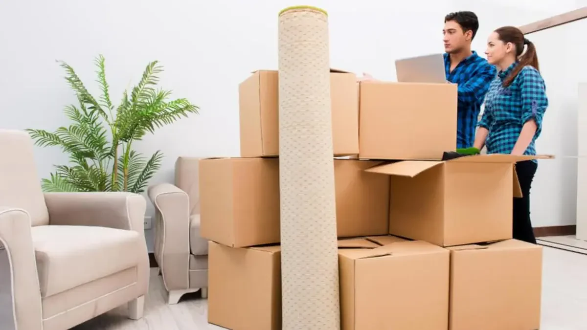 Best Otter Tail County Movers Near Me – Premium Otter Tail County, MN Moving Companies