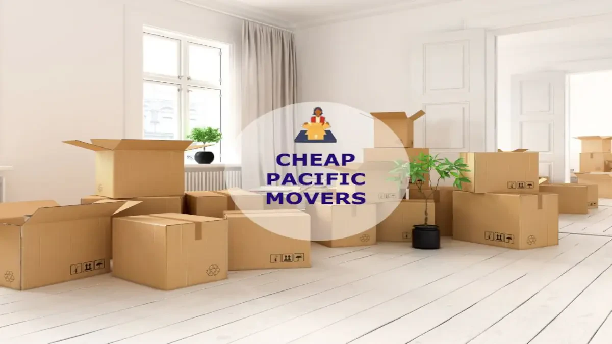 Best Pacific Movers Near Me – Premium Pacific, WA Moving Companies
