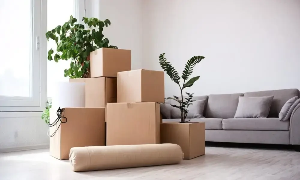 Professional Package Movers