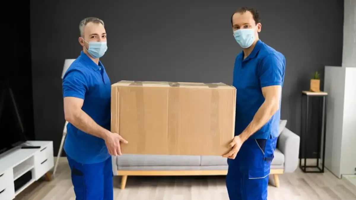 Best Padre Island Movers Near Me – Premium Padre Island, TX Moving Companies