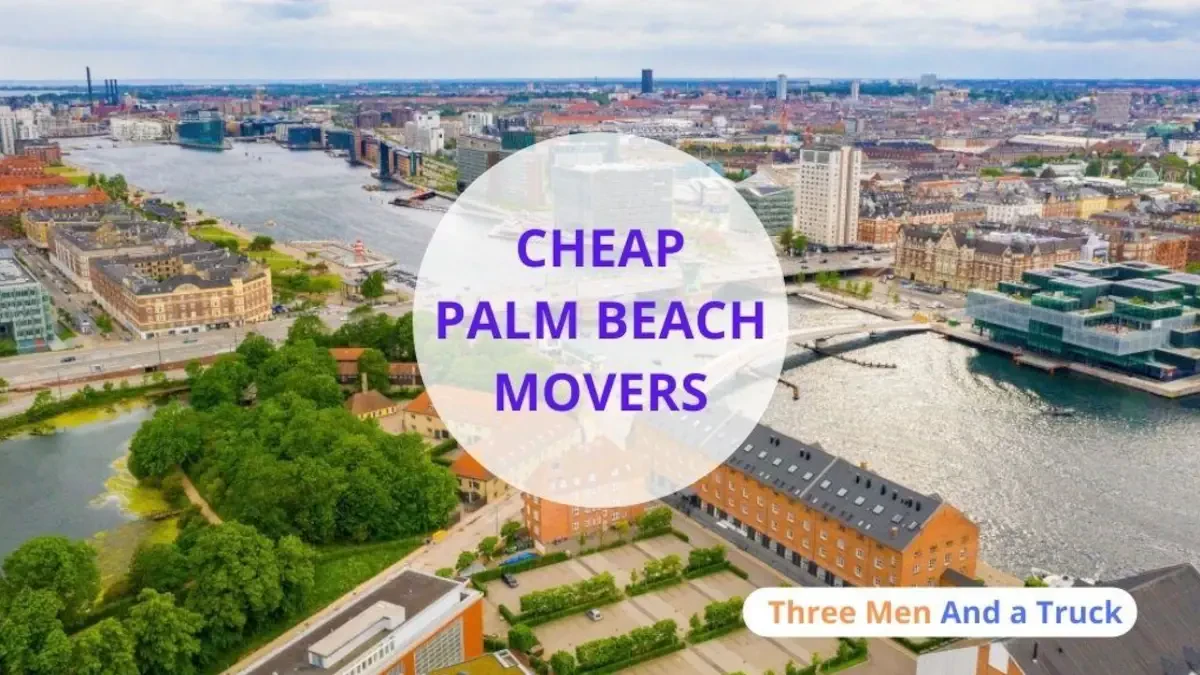 Best Palm Beach Movers Near Me – Premium Palm Beach, FL Moving Companies