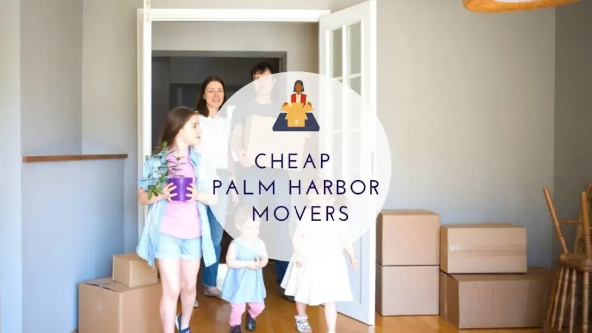 Best Palm Harbor Movers Near Me – Premium Palm Harbor, FL Moving Companies
