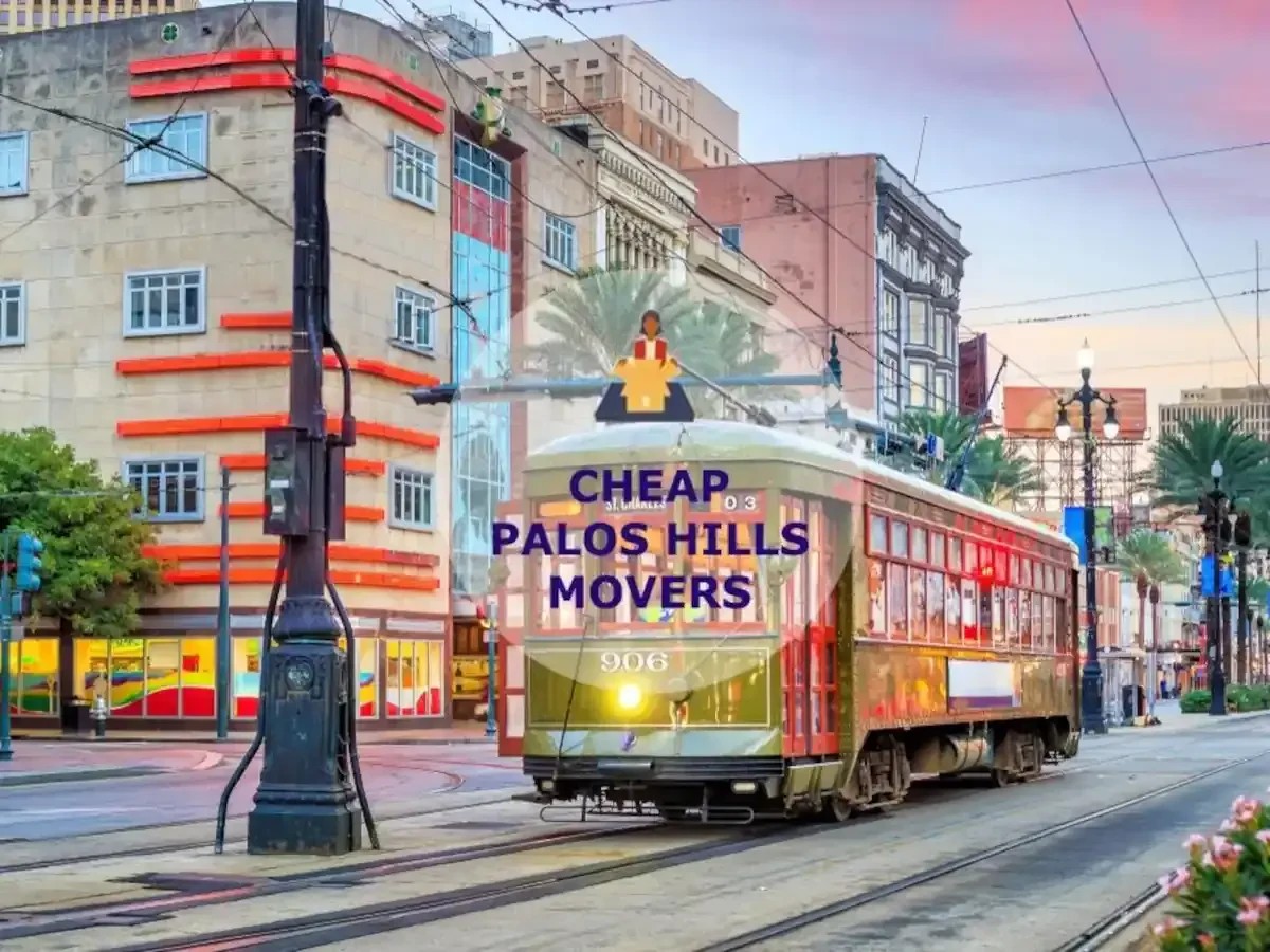 Best Palos Hills Movers Near Me – Premium Palos Hills, IL Moving Companies