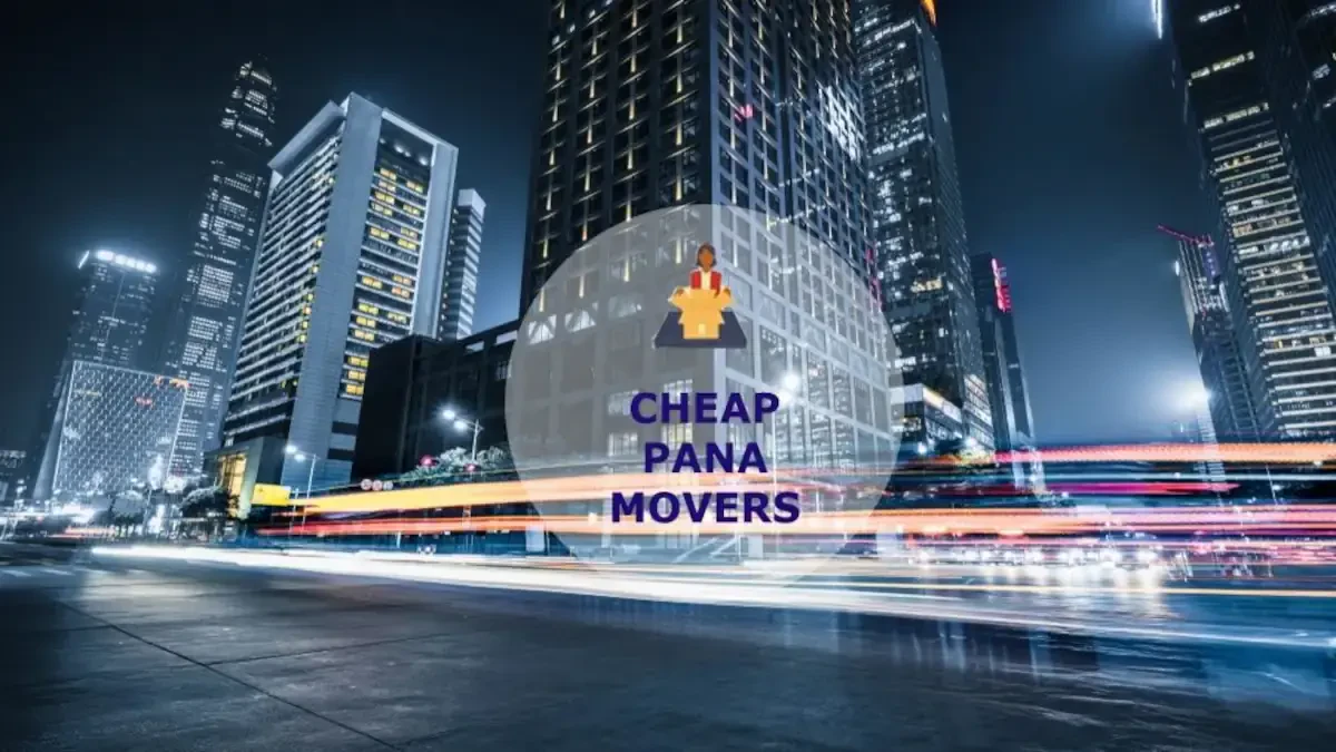 Best Pana Movers Near Me – Premium Moving Companies