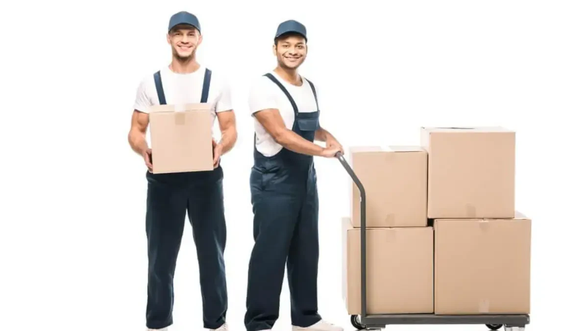 Best Park County Movers Near Me – Premium Park County, CO Moving Companies