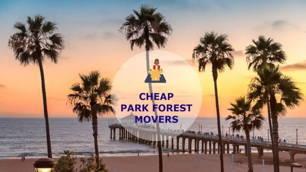 Best Park Forest Movers Near Me – Premium Park Forest, IL Moving Companies