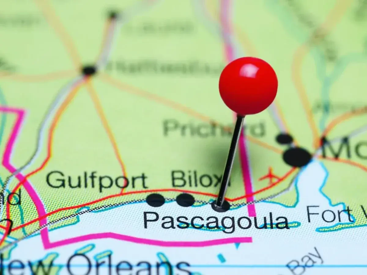 Best Pascagoula Movers Near Me – Premium Pascagoula, MS Moving Companies