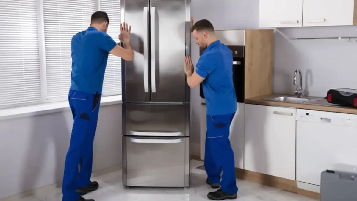 Best Pea Ridge Movers Near Me – Premium Pea Ridge, WV Moving Companies