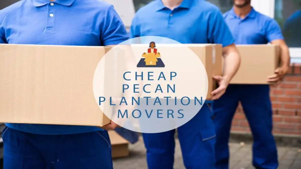 Best Pecan Plantation Movers Near Me – Premium Pecan Plantation, TX Moving Companies