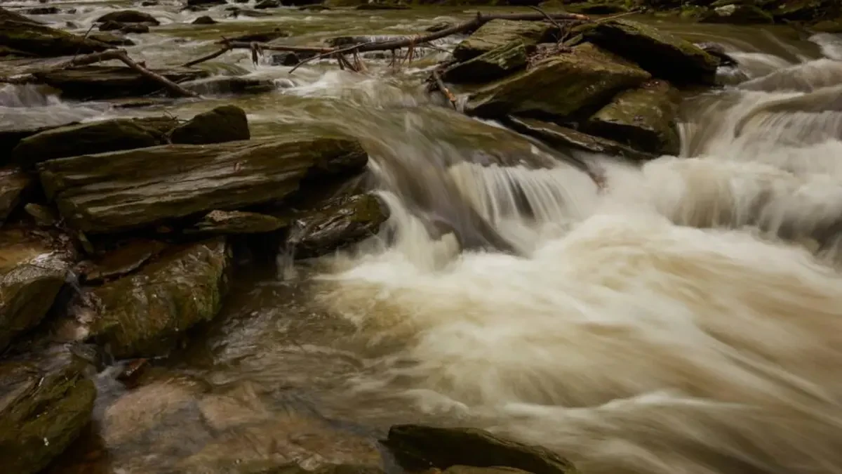 Best Pequea Movers Near Me – Premium Pequea, PA Moving Companies