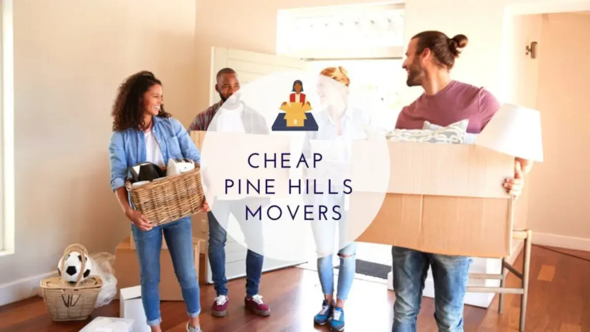 Best Pine Hills Movers Near Me – Premium Pine Hills, FL Moving Companies