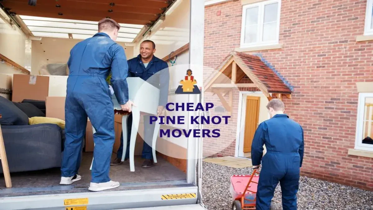 Best Pine Knot Movers Near Me – Premium Pine Knot, KY Moving Companies