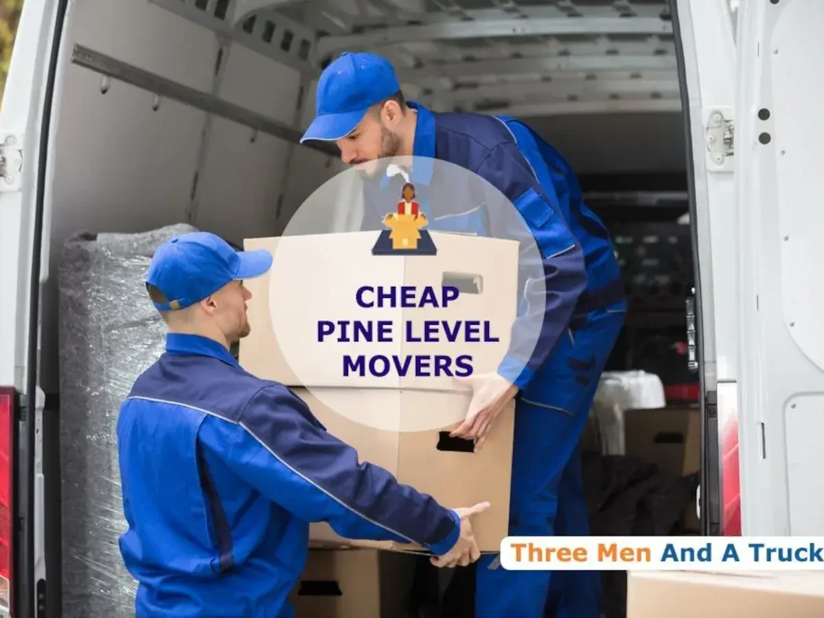 Best Pine Level Movers Near Me – Premium Pine Level, AL Moving Companies