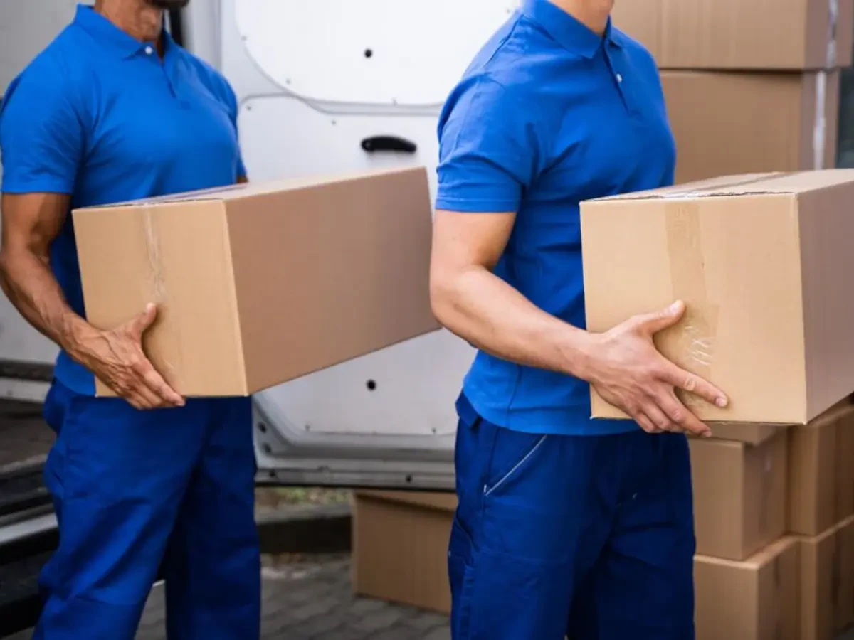 Best Pine Mountain Lake Movers Near Me Premium Moving Companies