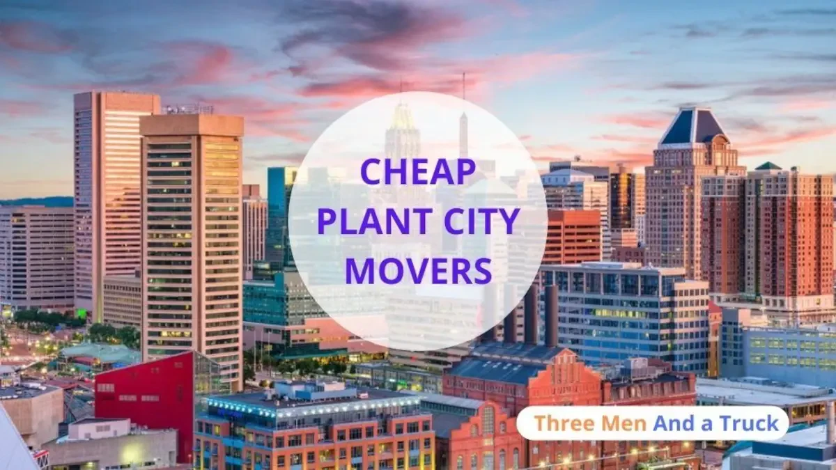 Best Plant City Movers Near Me – Premium Plant City, FL Moving Companies