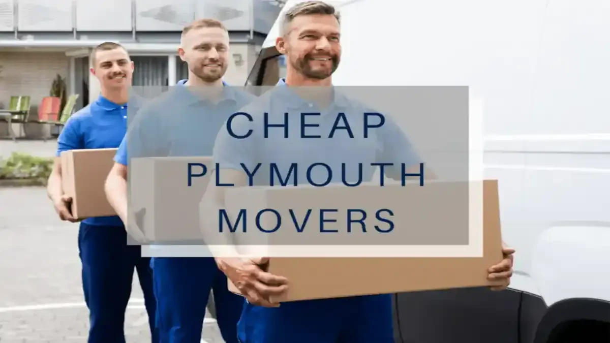 Best Plymouth Movers Near Me Premium Moving Companies