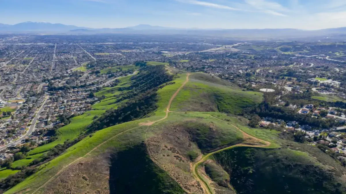 Office Movers Pomona, CA Best Cheap Moving Companies