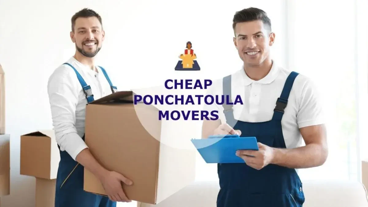 Best Ponchatoula Movers Near Me – Premium Ponchatoula, LA Moving Companies