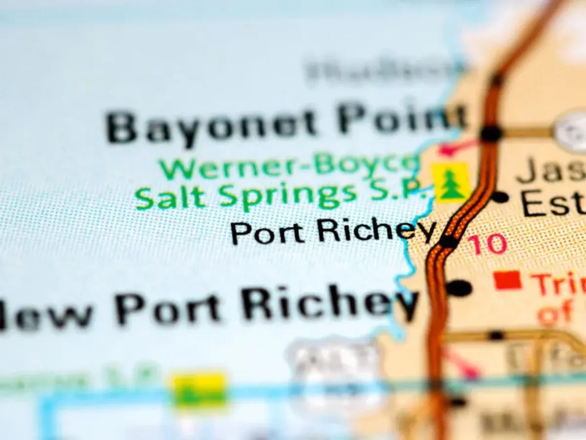 Best Port Richey Movers Near Me – Premium Port Richey, FL Moving Companies