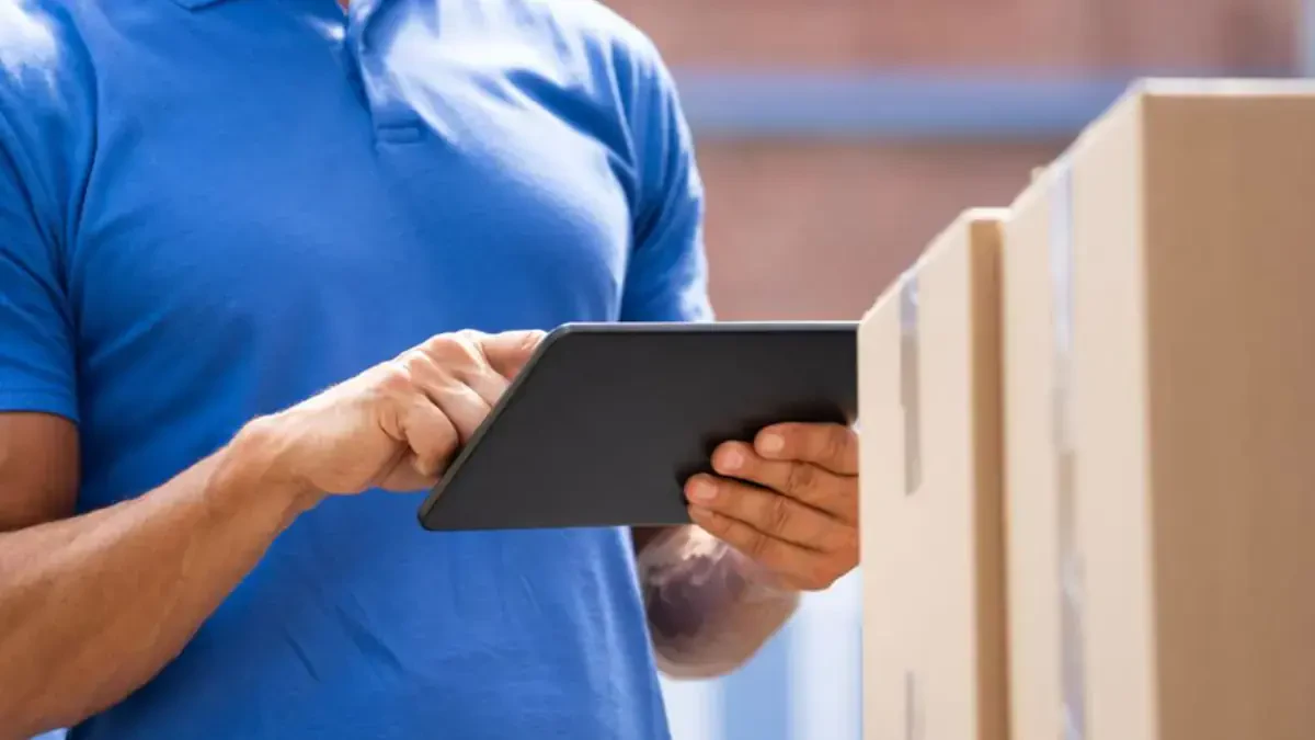 Port St. Lucie to Palm Harbor Movers Near Me – Port St. Lucie to Palm Harbor Moving Companies Cost