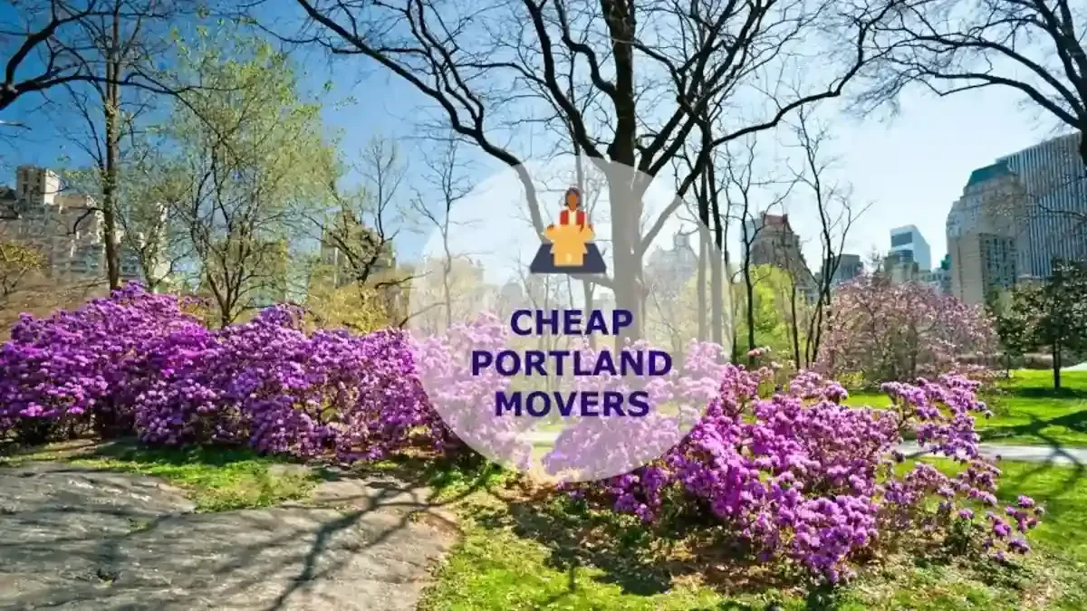 Best Portland Movers Near Me – Premium Portland, TN Moving Companies