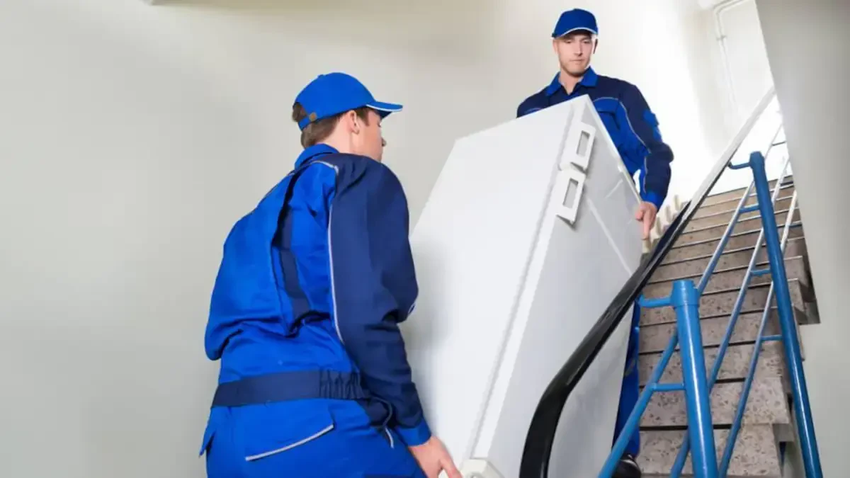 Best Powder River County Movers Near Me – Premium Powder River County, MT Moving Companies