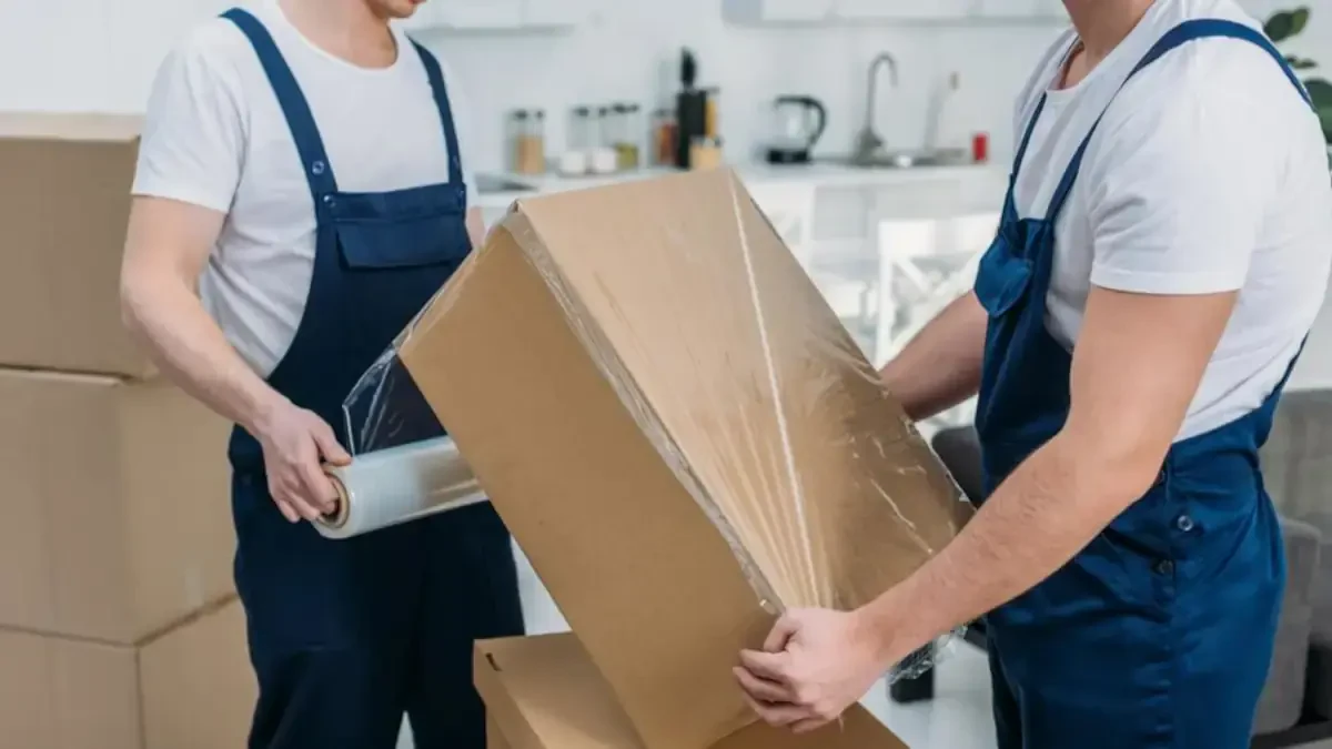 Best Prairie County Movers Near Me – Premium Prairie County, MT Moving Companies
