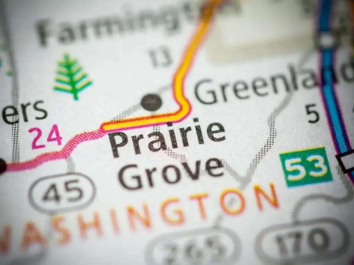 Best Prairie Grove Movers Near Me – Premium Prairie Grove, AR Moving Companies