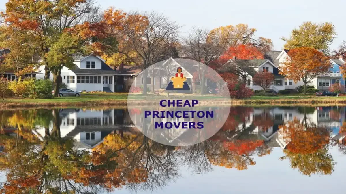 Best Princeton Movers Near Me – Premium Princeton, IL Moving Companies