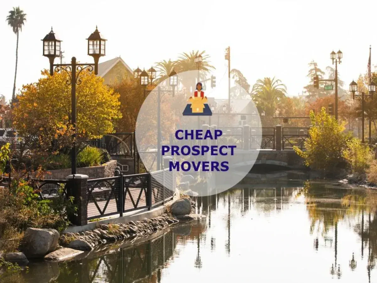 Best Prospect Movers Near Me – Premium Prospect, CT Moving Companies
