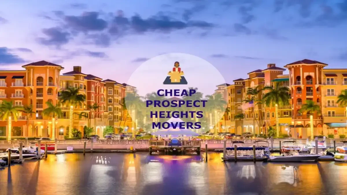 Best Prospect Heights Movers Near Me – Premium Prospect Heights, IL Moving Companies