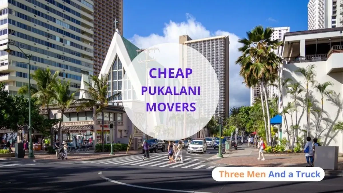 Best Pukalani Movers Near Me – Premium Pukalani, HI Moving Companies