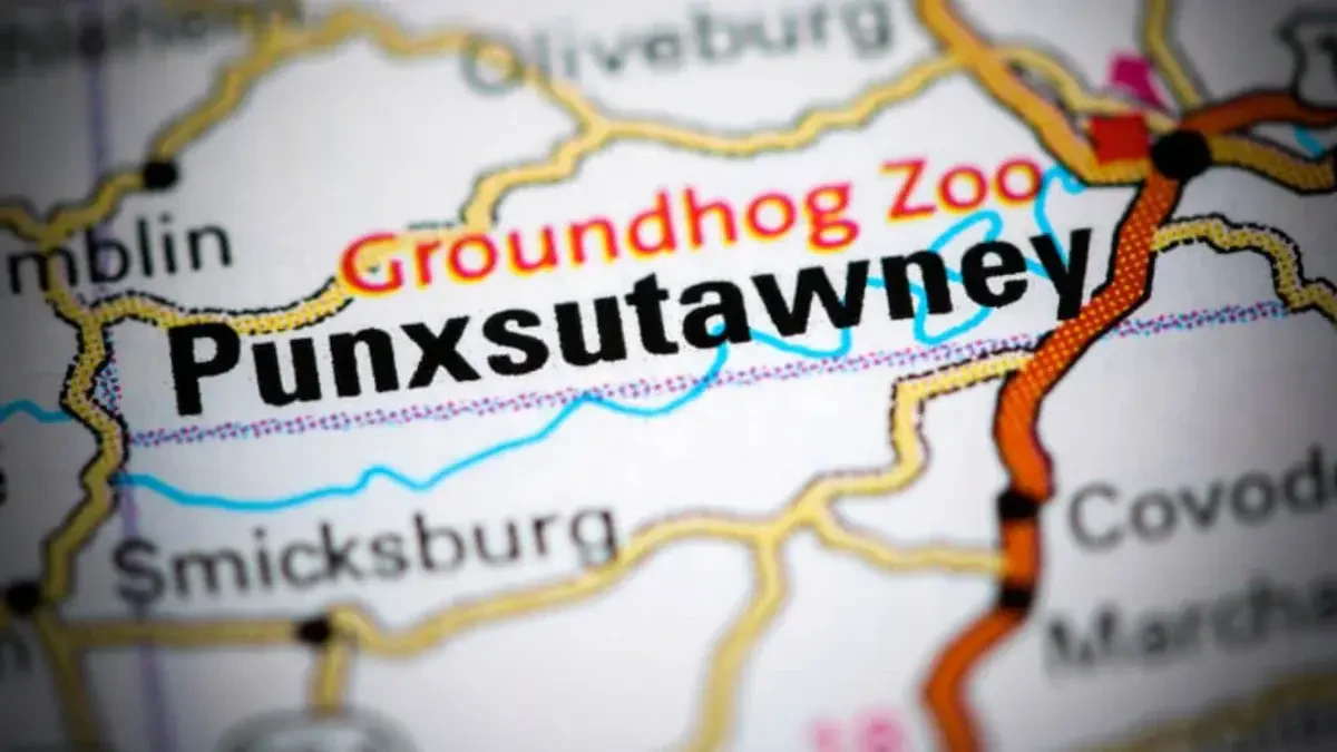 Best Punxsutawney Movers Near Me – Premium Punxsutawney, PA Moving Companies