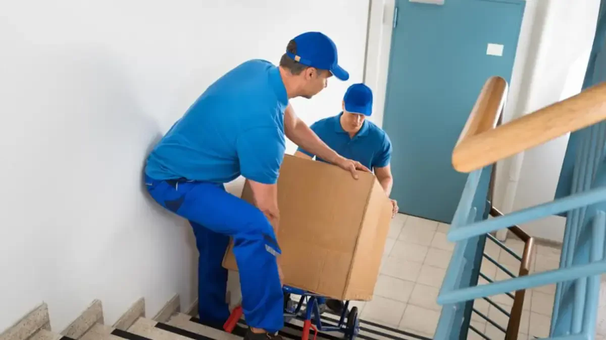 Best Rappahannock County Movers Near Me – Premium Rappahannock County, VA Moving Companies