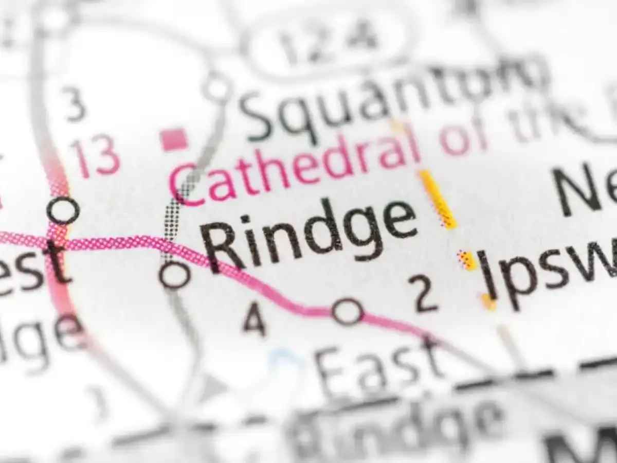 Best Rindges Movers Near Me – Premium Rindges, NH Moving Companies