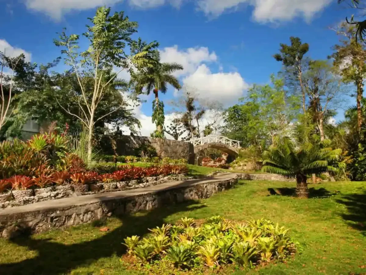 Best Rio Pinar Movers Near Me – Premium Rio Pinar, FL Moving Companies