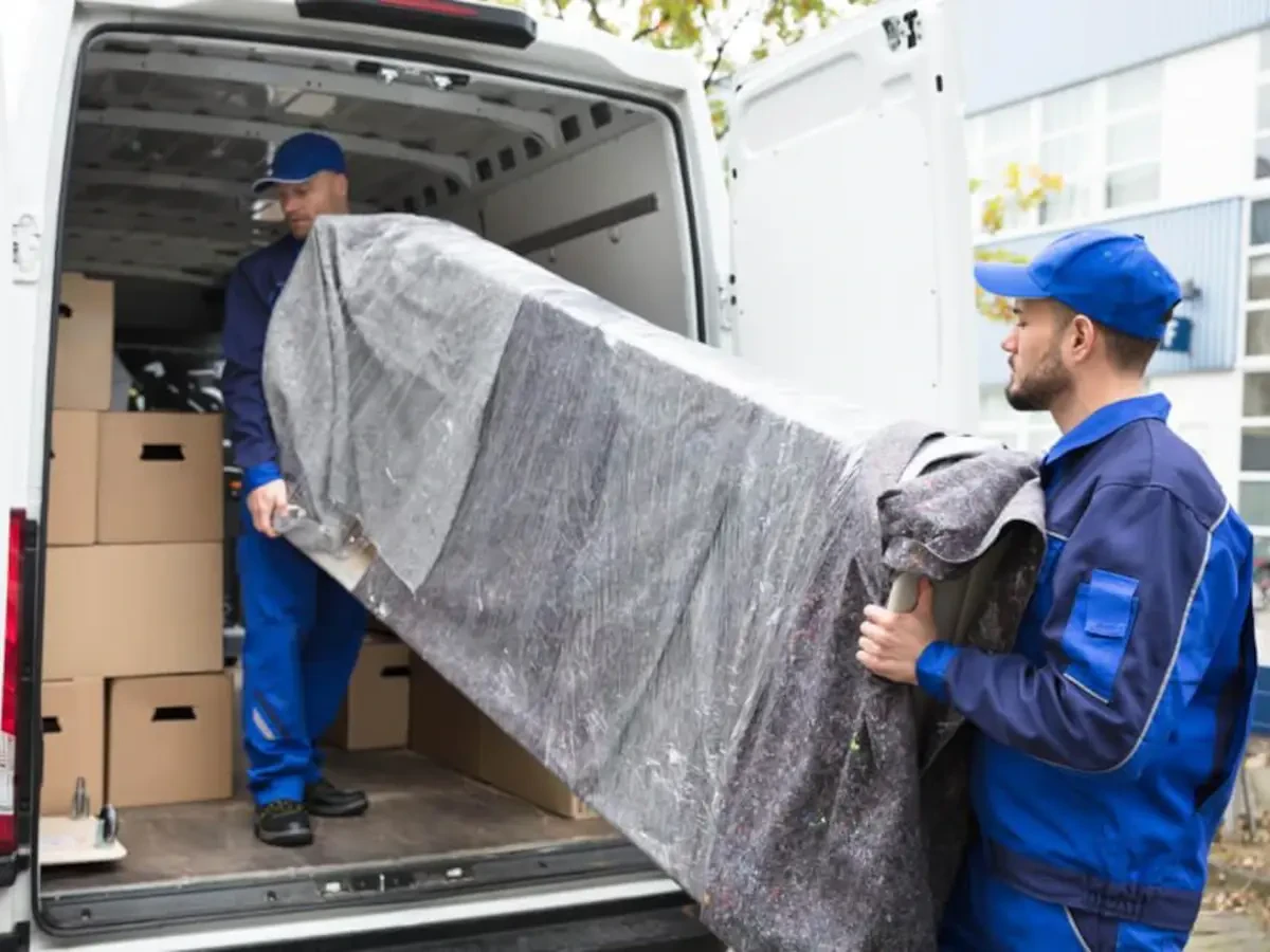 Best Ripley Movers Near Me Premium Moving Companies