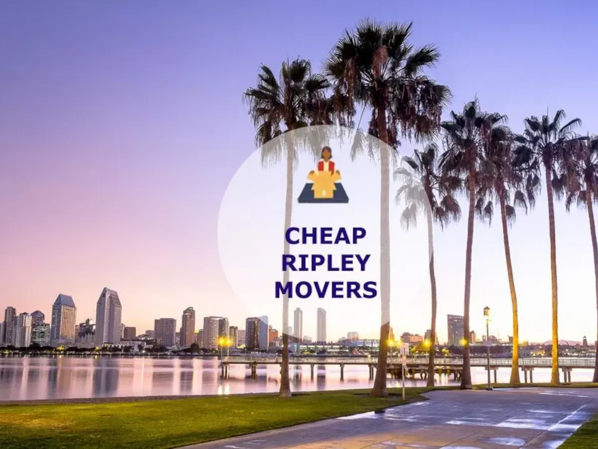 Best Ripley Movers Near Me – Premium Ripley, TN Moving Companies