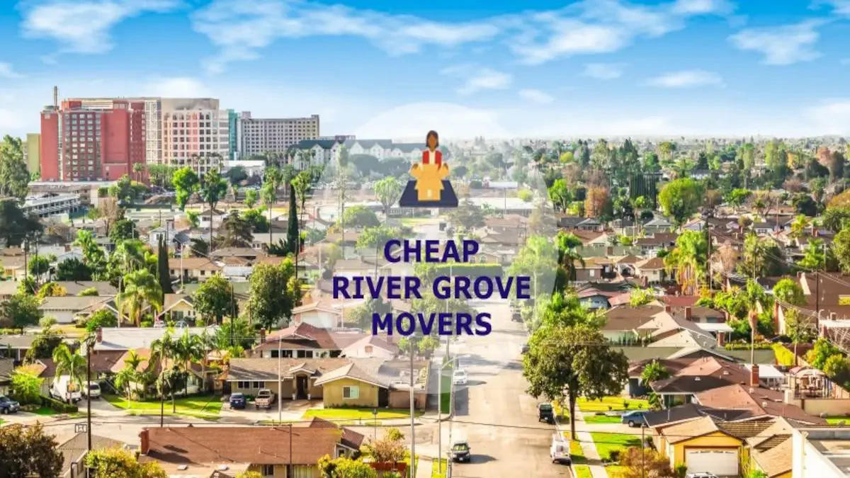 Best River Grove Movers Near Me – Premium River Grove, IL Moving Companies