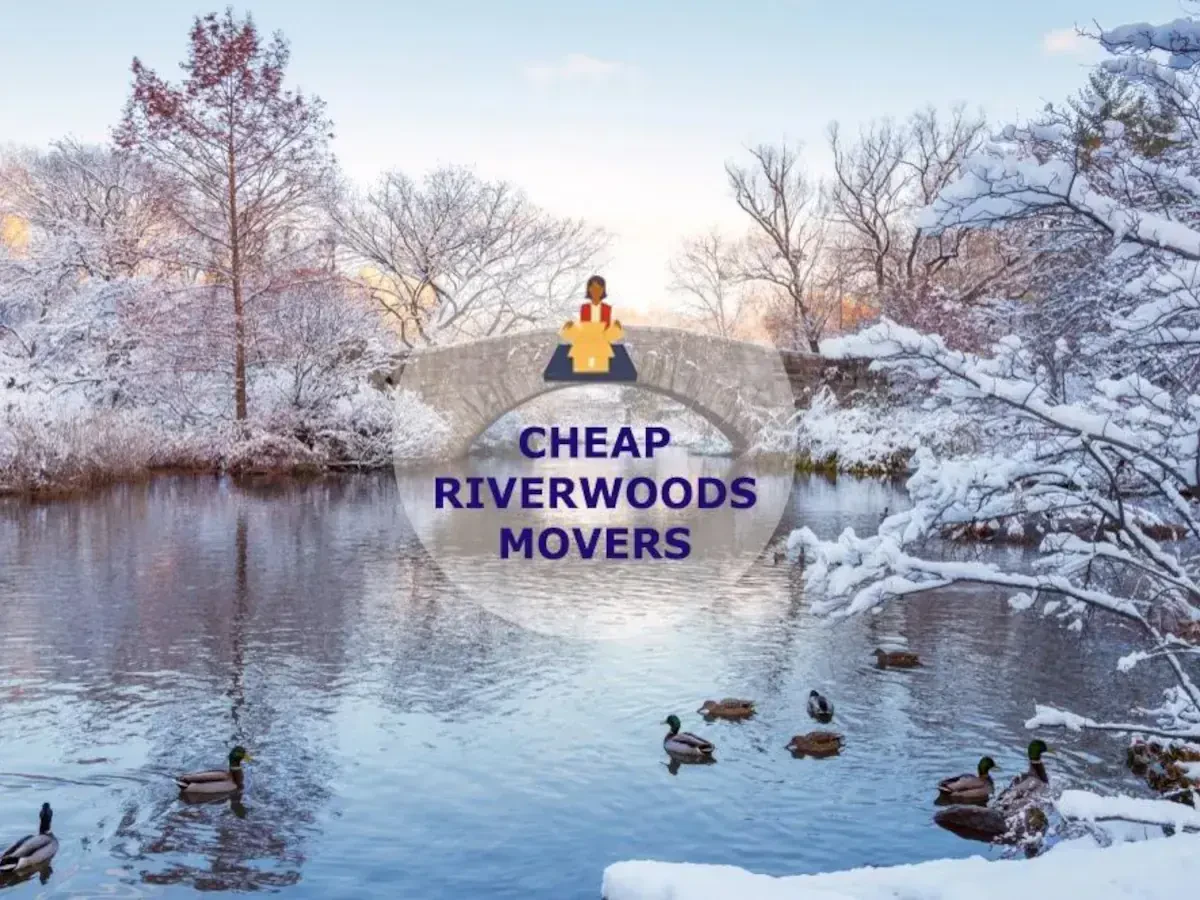 Best Riverwoods Movers Near Me – Premium Riverwoods, IL Moving Companies