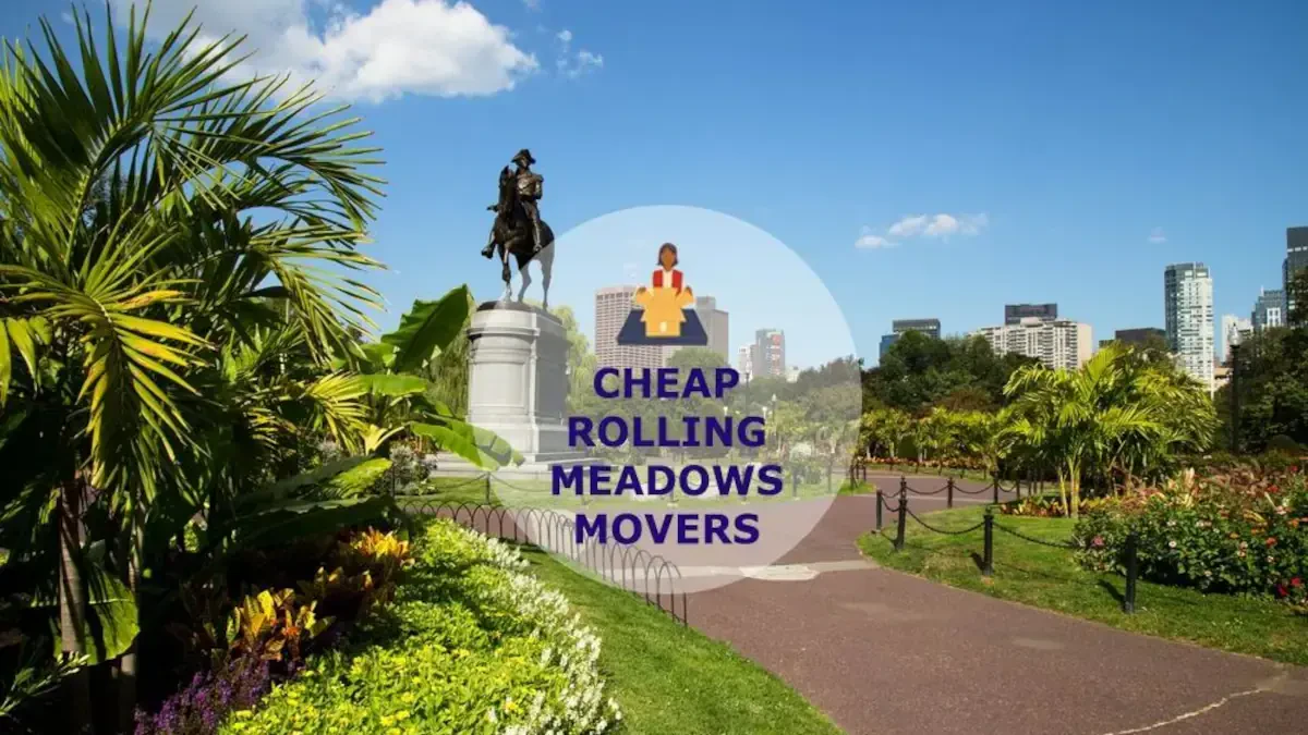 Best Rolling Meadows Movers Near Me – Premium Rolling Meadows, IL Moving Companies