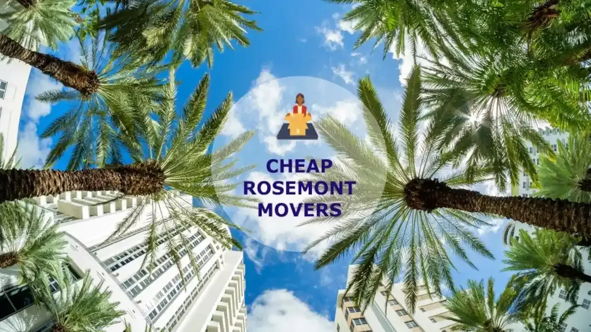 Best Rosemont Movers Near Me – Premium Rosemont, IL Moving Companies